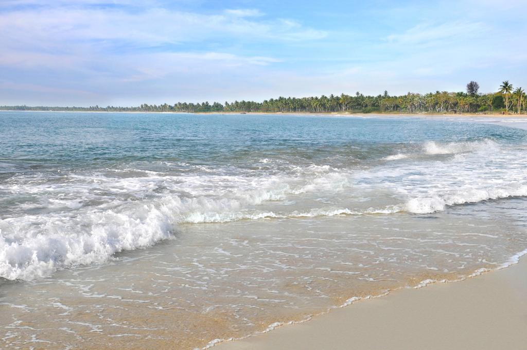 Amaya Beach Passikudah Номер фото